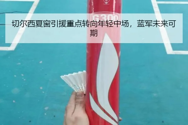 切尔西夏窗引援重点转向年轻中场，蓝军未来可期